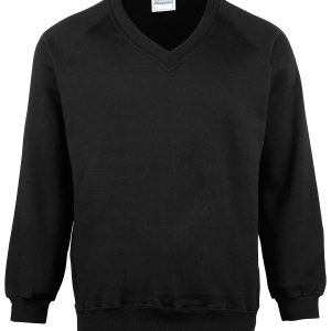 Kids Coloursure™ v-neck sweatshirt