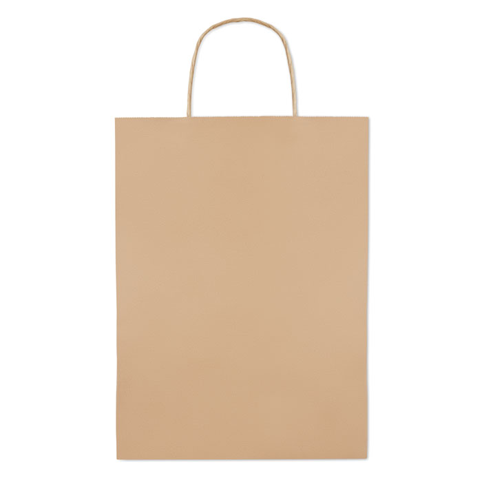 Paper Large Gift Bag