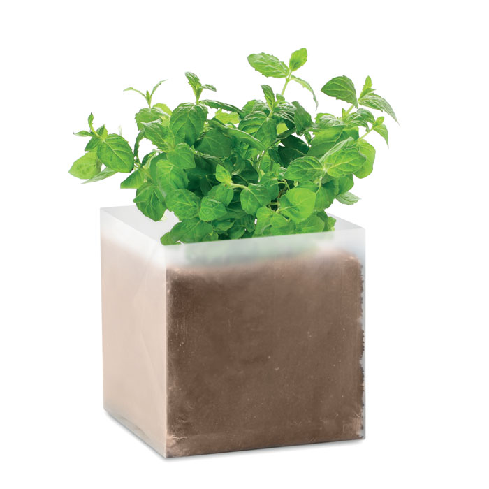 MINT Grow Bag Mint Seed Kit