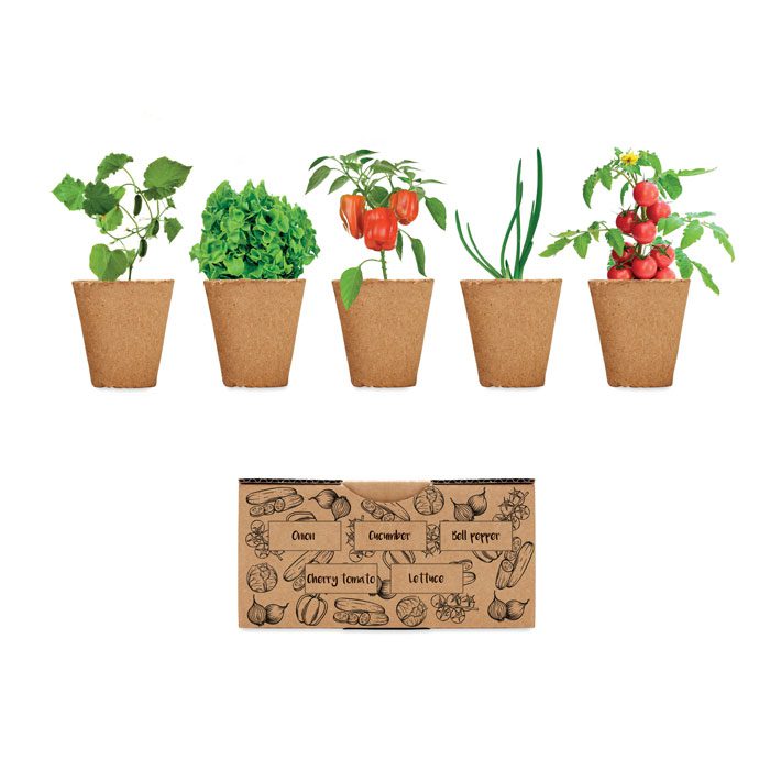 SALAD Growing Kit Box