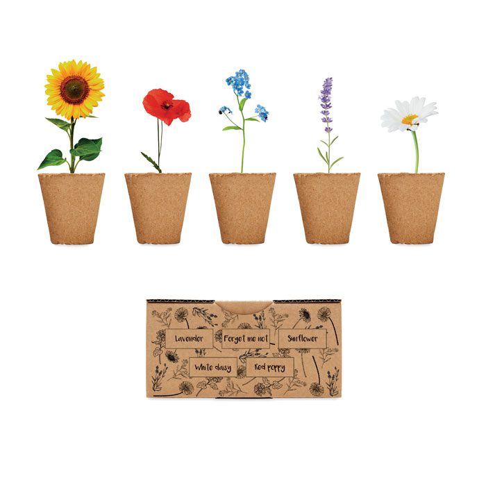FLOWERS Growing Kit Seed Box