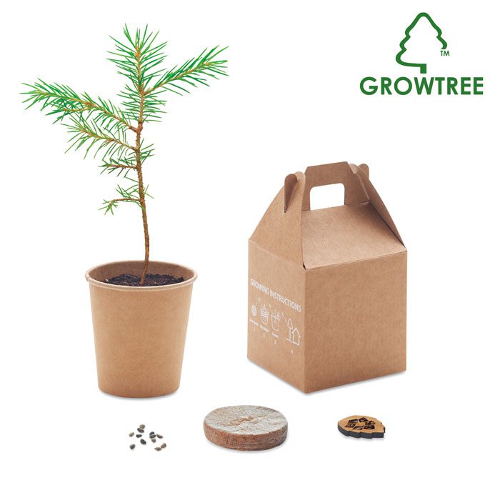 GROWTREE Pine Seed Growing Kit