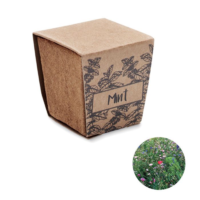 Mint Seed Growing Kit