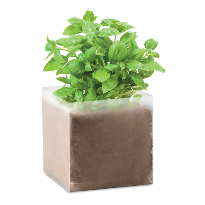 Basil Seed Growing Bag Kit