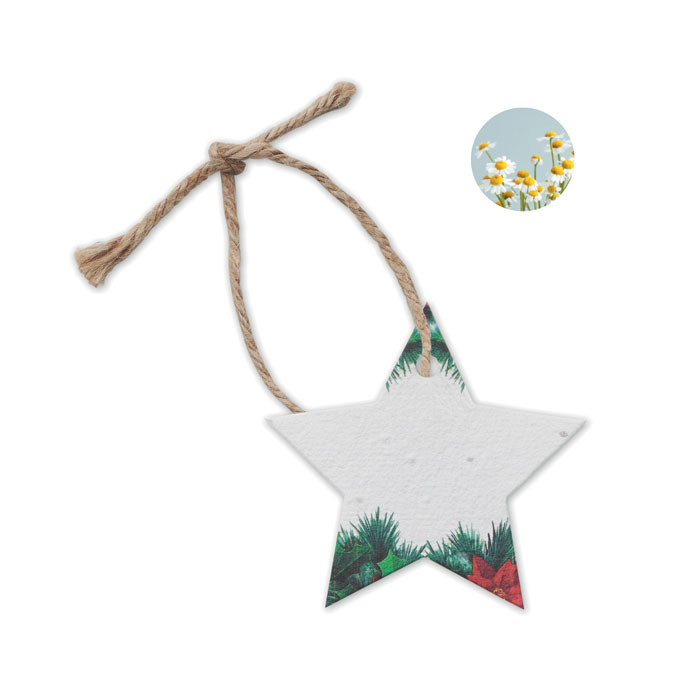 STARSEED Seed Paper Star Ornament
