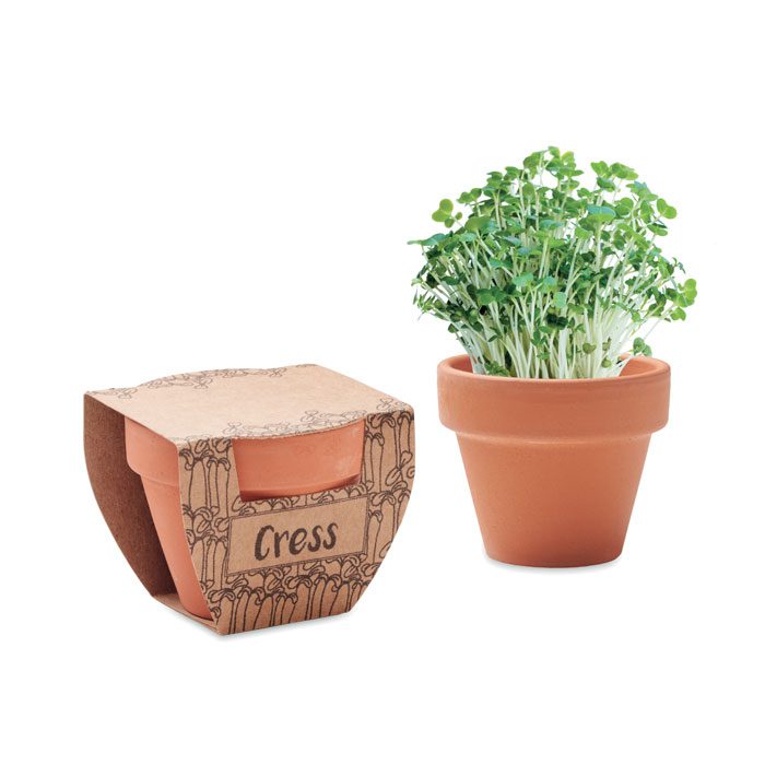 Cress Pot Terracotta Growing Kit