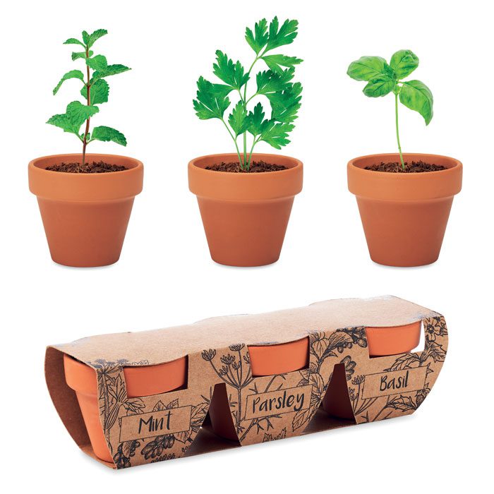 FLOWERPOT Terracotta Herb Pot Set