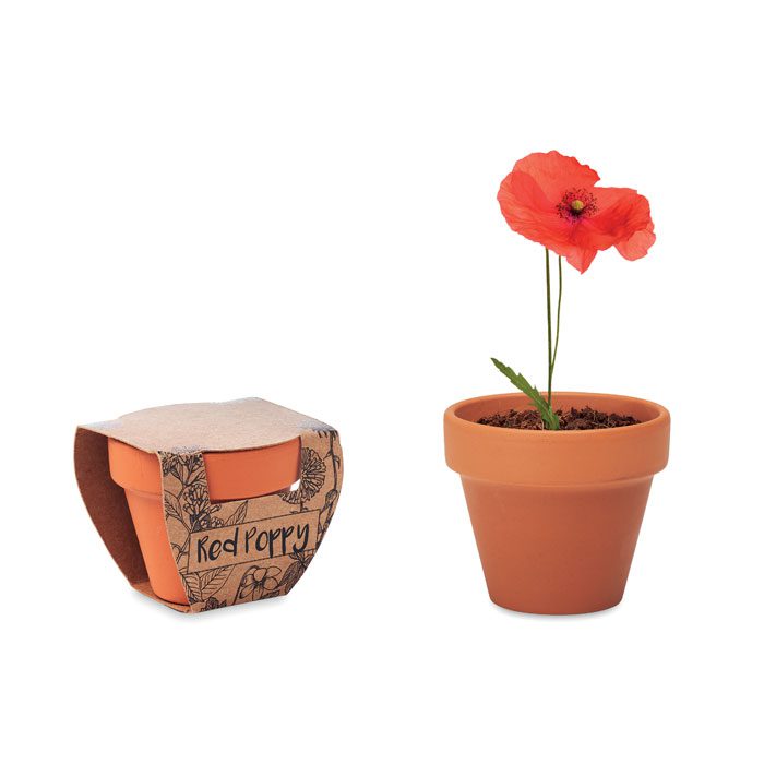 RED POPPY Terracotta Poppy Seed Pot