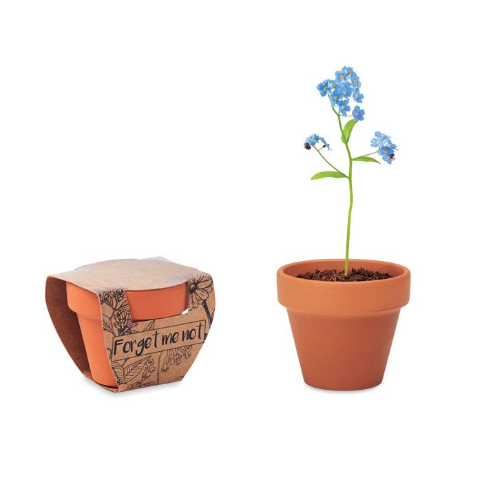 Forget Me Not Terracotta Seed Pot